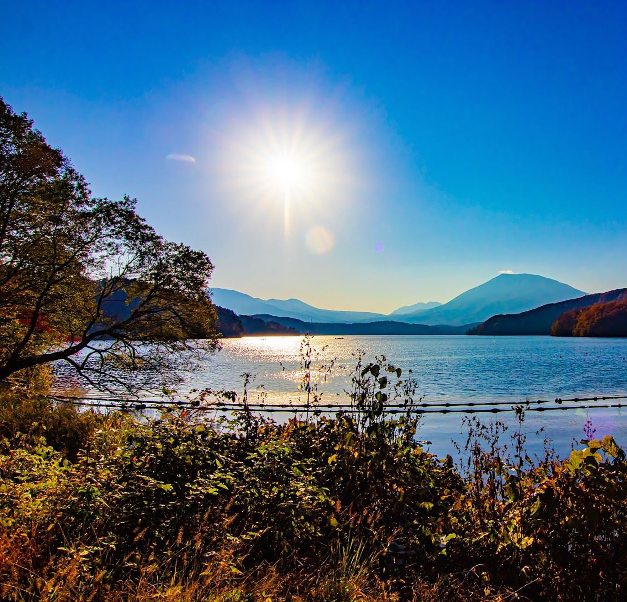 Spring, Summer & Autumn Escapes