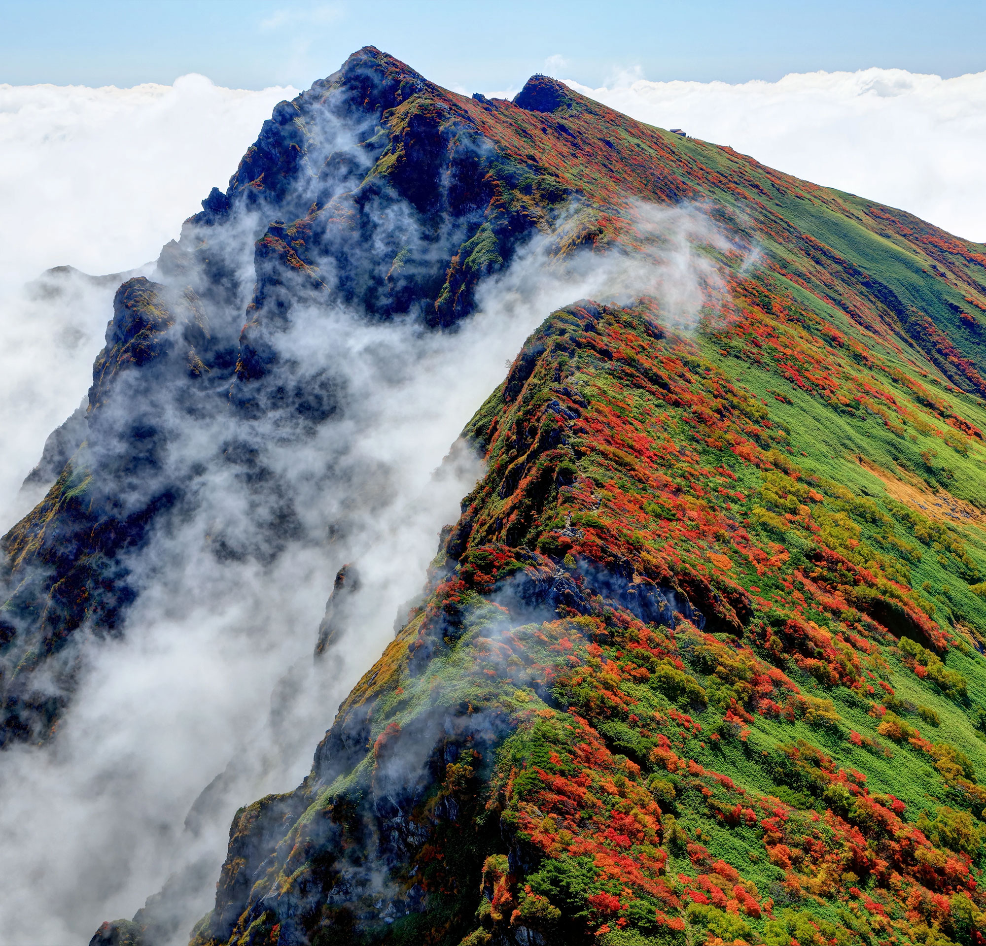 Spring, Summer & Autumn Escapes