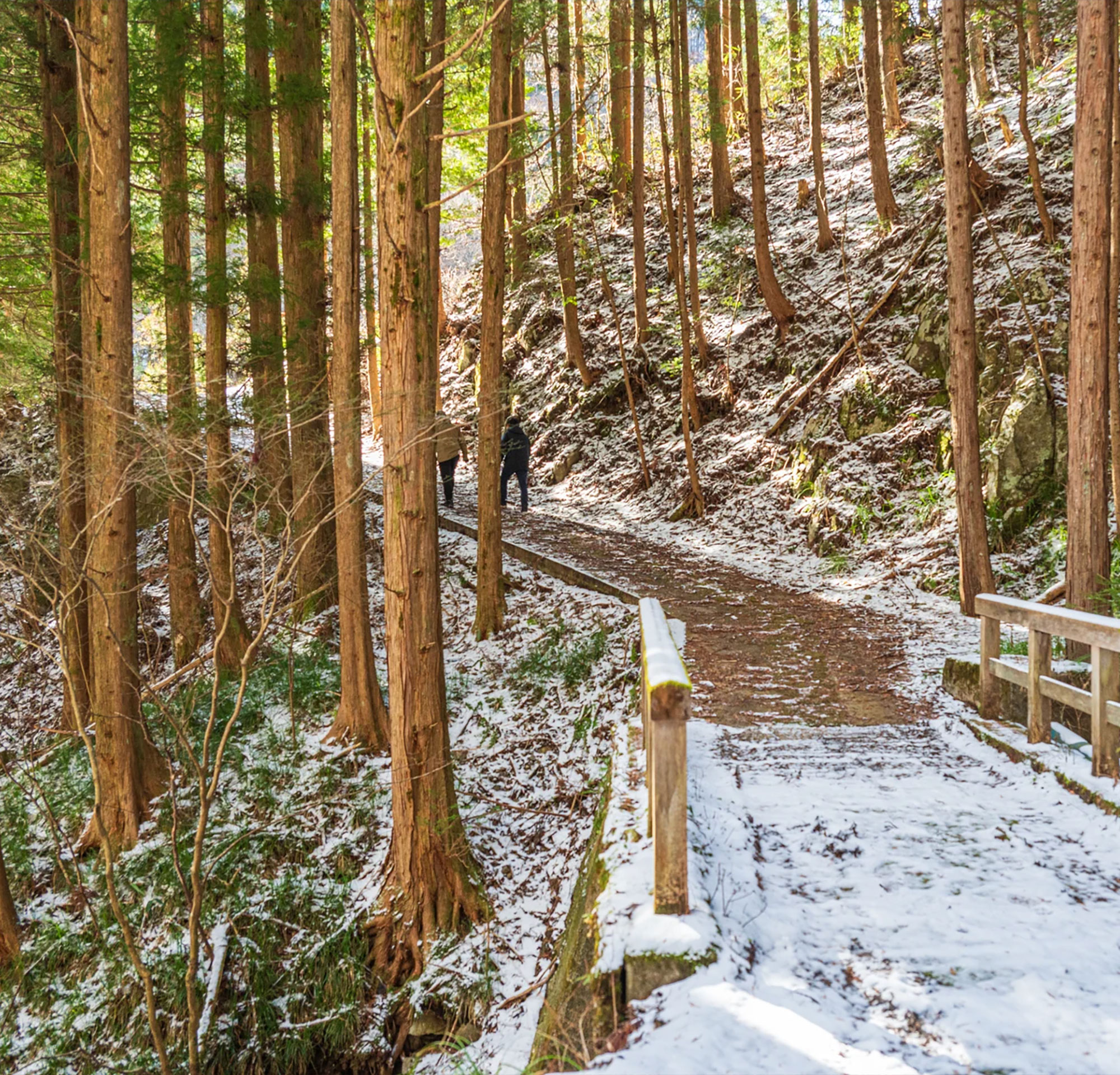 Spring, Summer & Autumn Escapes