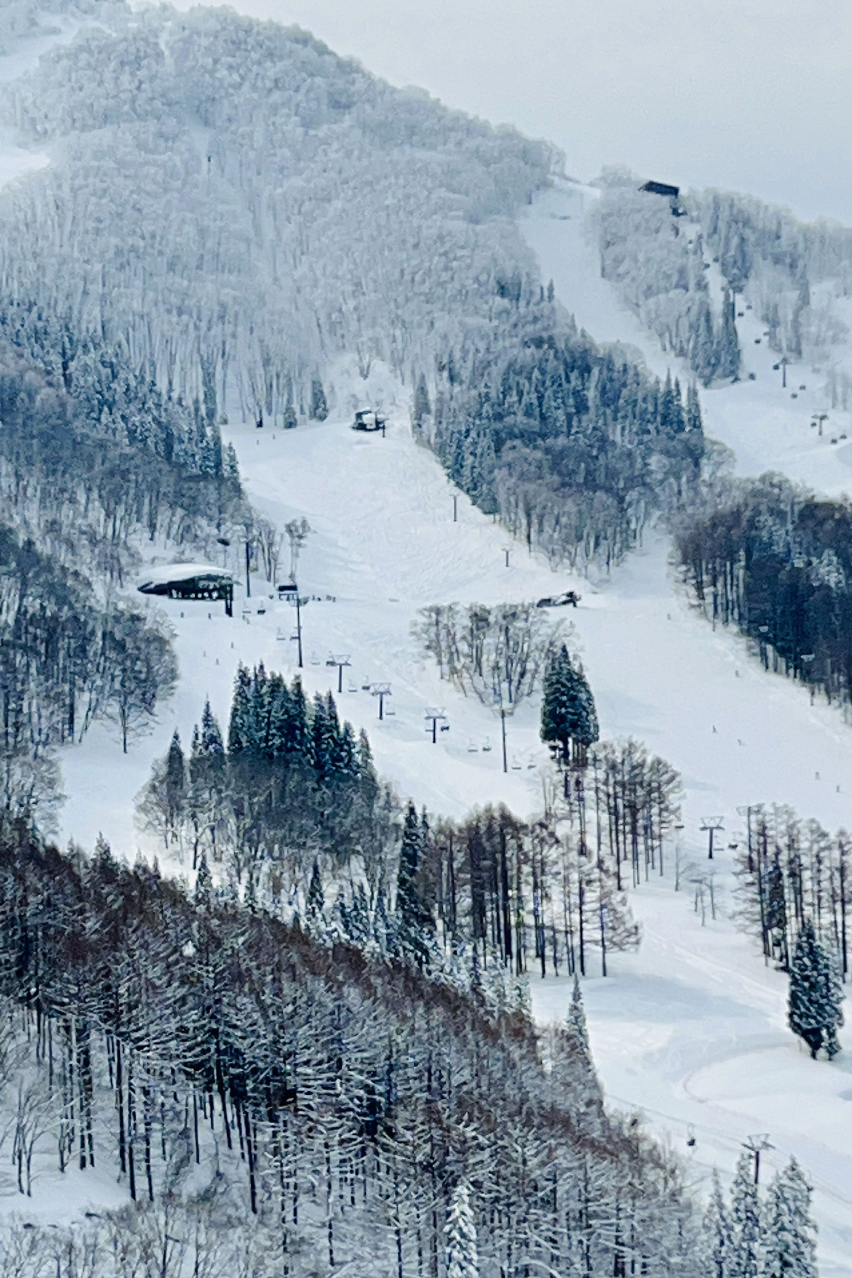 activity-ski-resorts-3